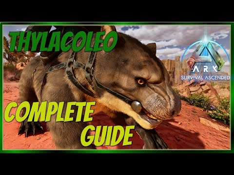 Thylacoleo Complete Guide - Ark: Survival Ascended