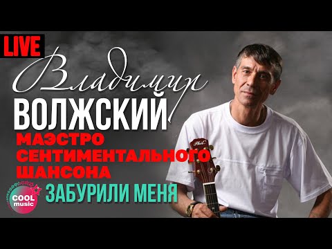 Владимир Волжский - Забурили меня (Маэстро сентиментального шансона, Live)