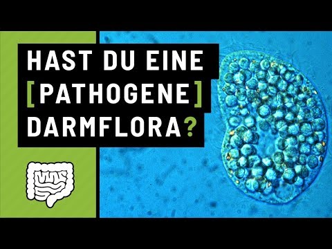 B12 Mangel, Rohkost Ernährung und Darmflora aufbauen