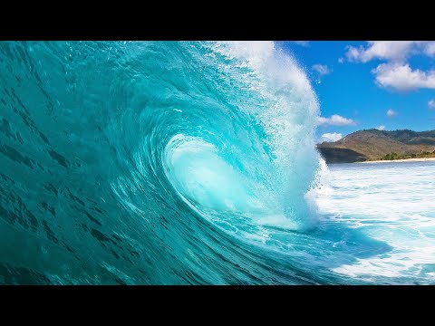 Прогнозы и волновая теория