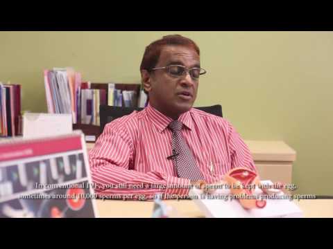 What is intracytoplasmic sperm injection?