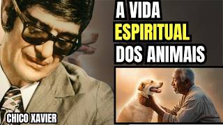 Mystery Revealed! What Is the Journey of Animals Like in the Spiritual World? | Chico Xavier