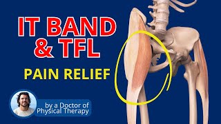 IT Band Syndrome and Tight TFL | Fix knee pain, hip pain, low back pain