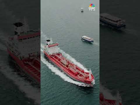 How Arabic Shipping Word "Average" Became Common English | What's The Word | N18S | CNBC TV18