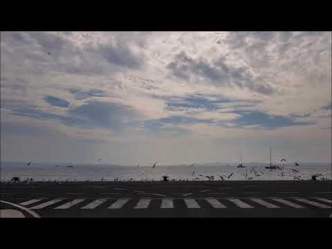 Heinali - Sway, sway