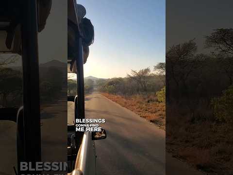 Safari game drive in South Africa's Kruger National Park. Blessed to see the world...beautiful views
