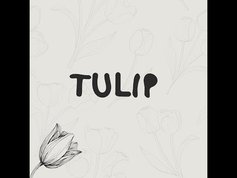 Icy D ft. Jen Cee - Tulip (Visualizer)