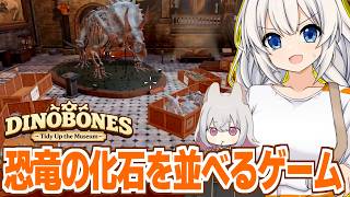紲星あかりと恐竜の化石を並べて復元するゲーム【DinoBones: Tidy Up the Museum】