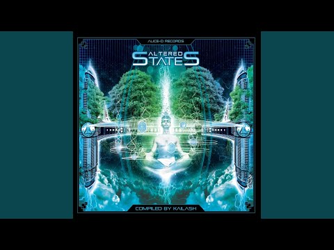 Adding Data (Original Mix)