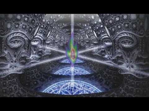 The Flying Mars - Enlightened Nature