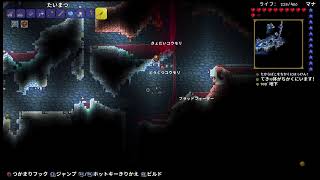 ニカとテラリア　風船探し