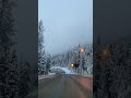 The Road To Seattle December 5 2021 Snowflakes Roadsafety Seattle