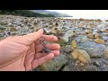 Slide Bait Fishing With Live Baits Success