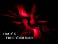 Ziggy X - Free your Mind 