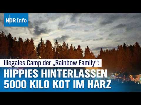 Nach Rainbow Gathering im Harz: Hippies hinterlassen 5000 Kilo Kot - eine Bilanz | NDR Info
