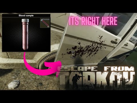 Health Care Privacy  Part 3 Escape From Tarkov Under a Minute Guide Woods Therapist #eft