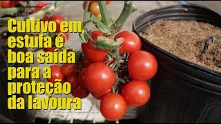 Miniatura do vídeo