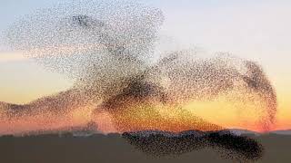 Download lagu Passenger - Hell Or High Water mp3 Download lagu Passenger - Hell Or High Water mp3