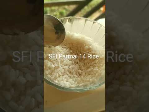 Shivalay Parmal Rice