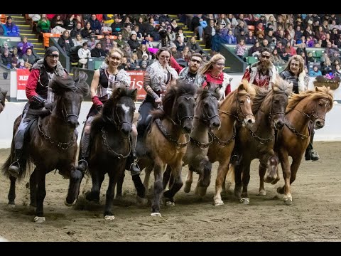 Equine Affaire Fantasia Interview - Knights of Iceland