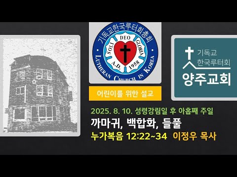 (어린이)까마귀, 백합화, 들풀(눅12:22~34)-2025.8.10.성령강림일 후 아홉째 주일 설교