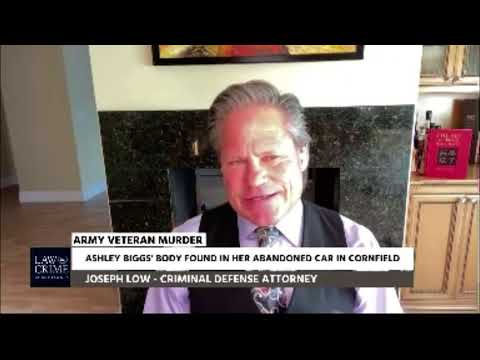 Attorney Joseph Low Discusses the Erica Stefanko Case on Law & Crime Now - Part 13