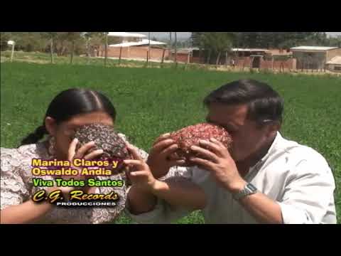 Viva TODOS SANTOS / Coplitas de TODOS SANTOS / Osvaldo Andia, Marina Claros y los ABAJEÑOS DEL VALLE