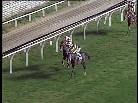 Galoppo 23/11/2019 - 6ª corsa