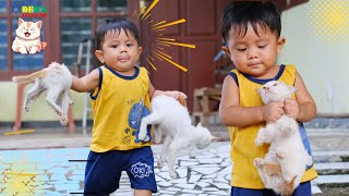 Download lagu 🐱 Meow Meow Kitty Song 🎶 | Indonesian Kids Song | Cute Cat for Kids 🌈 mp3