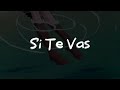 Shakira - Si Te Vas (Letra)