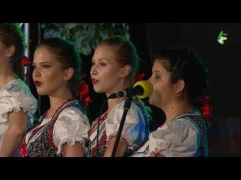 TAM POD LJESOM KALJINOVIM - Dzivocka grupa Doma kulturi Ruski Kerestur