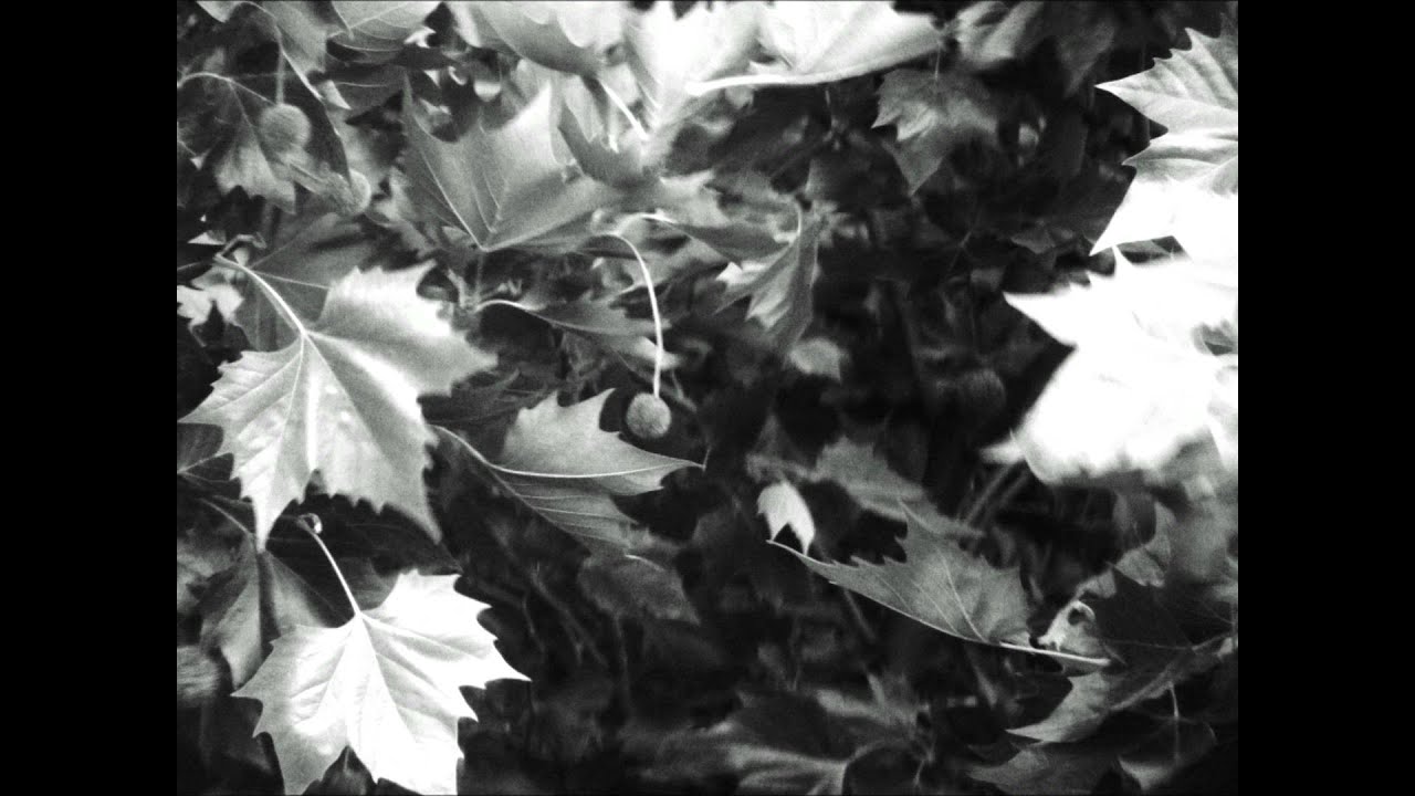 Ik Aarzu Hai Meri Lyrics | Pyaas (Album) | Goher Mumtaz | Goher Mumtaz