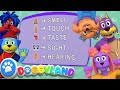 We Have Five Senses | Doggyland Kids Songs & Nursery Rhymes by Snoop Dogg