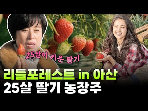 , title : '25살에 딸기 농장주 되다! 새내기 농부의 리틀포레스트 in 아산🍓 | 웰컴투마이촌'