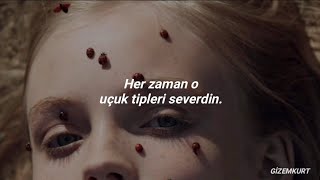 Birdy - Strange Birds (Türkçe Çeviri)