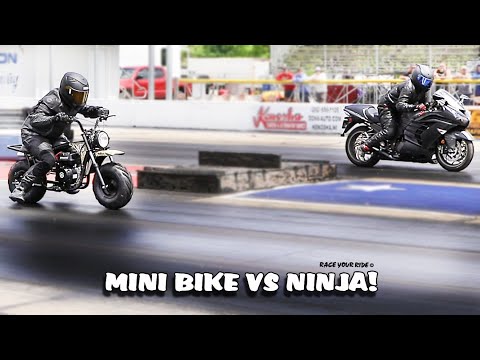 MINI-BIKE-RENNEN NINJA! COLEMAN RT200 VS '16 KAWASAKI NINJA ZX14R ABS! BYRON DRAGWAY!
