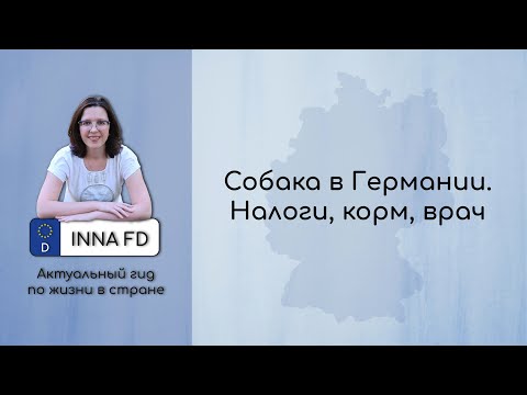 Правила содержания собак в Германии: налоги, корм, врач