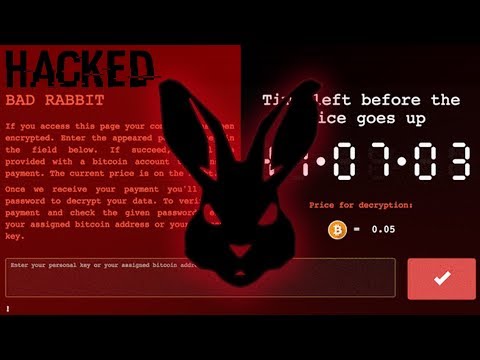 Bad Rabbit - вирус, который не смог заразить компьютер