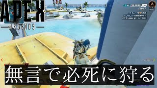 敵を駆逐する殺戮マシーン二体「エーペックスレジェンズ」