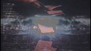 ANIMAL COLLECTIVE - TASTE