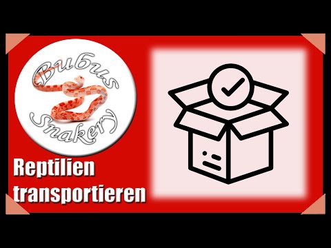 Schlangen / Reptilien richtig verpacken für Versand / Transport