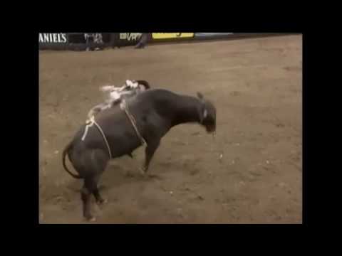 PBR 2003: Cripple Creek Slick Willy 48 point out