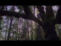 Weightless - Washed Out 