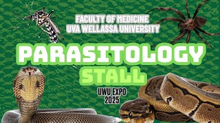 An Overview of Parasitology Stall