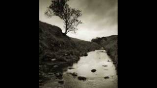 The Morningside - 14