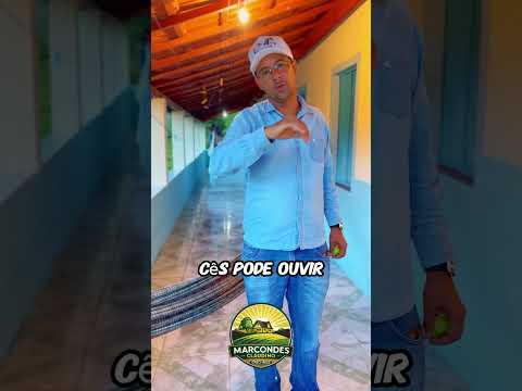 🌿🐄 FAZENDA À VENDA EM MEDINA – MG 🐄🌿part 4 #agro