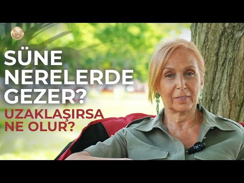 Süne Nerelerde Gezer? Uzaklaşırsa Ne Olur? | Adalet Bağdu
