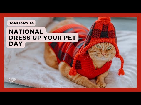 NATIONAL DRESS UP YOUR PET DAY - January 14