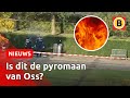 22-jarige brandstichter opgepakt in Oss | Omroep Brabant