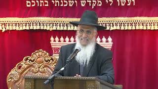 048רוממות התפילה הלכות נשיאת כפיים (הרב יורם סרי) - התמונה מוצגת ישירות מתוך אתר האינטרנט יוטיוב. זכויות היוצרים בתמונה שייכות ליוצרה. קישור קרדיט למקור התוכן נמצא בתוך דף הסרטון